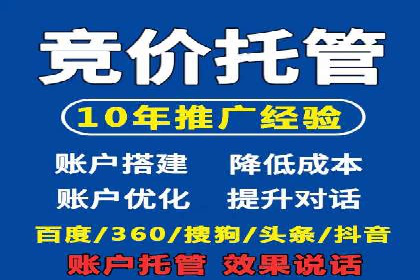 揭秘SEM竞价成功案例，助你提升ROI